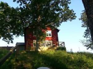 Altan_07_960.jpg